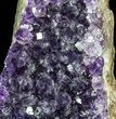 Deep Purple Amethyst Cluster - Uruguay #58139-1
